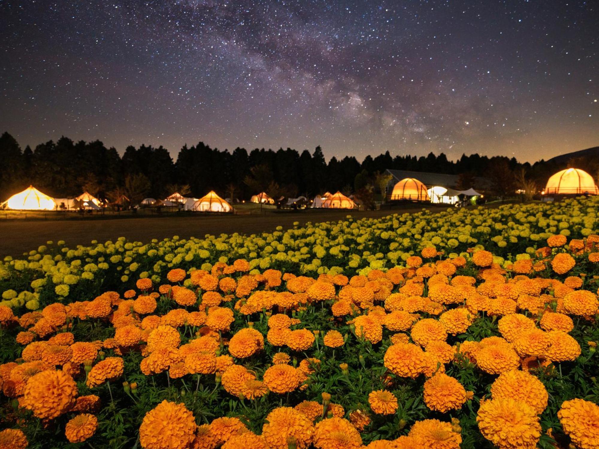 くじゅう花公園　キャンピングリゾート花と星 Kuju Extérieur photo