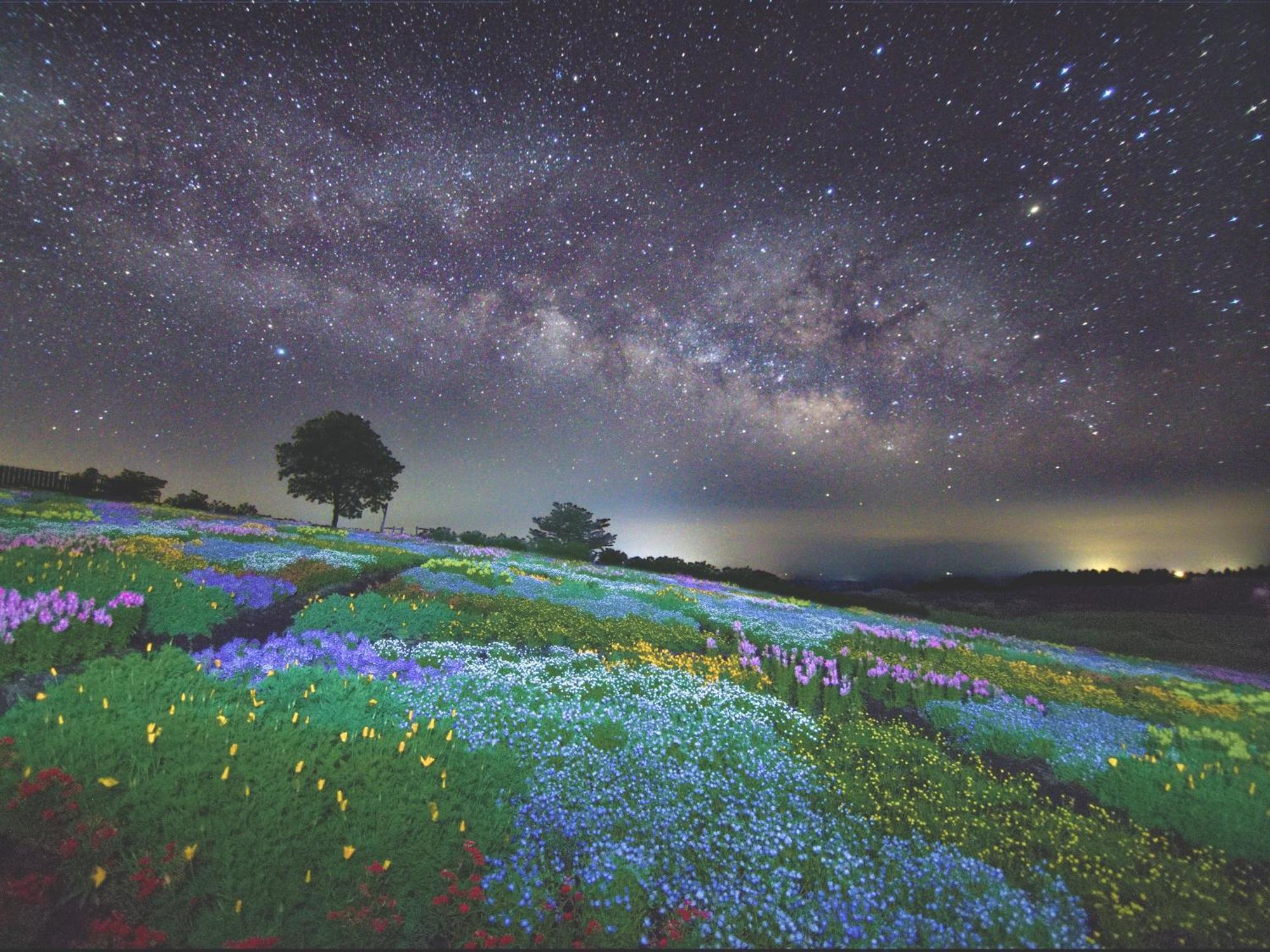くじゅう花公園　キャンピングリゾート花と星 Kuju Extérieur photo