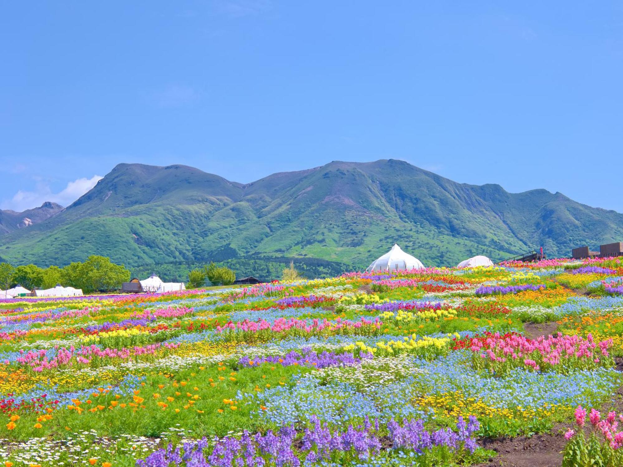 くじゅう花公園　キャンピングリゾート花と星 Kuju Extérieur photo