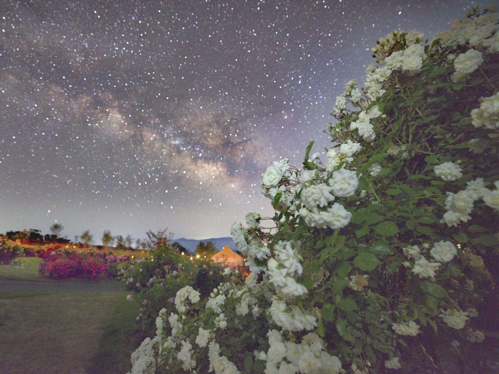 くじゅう花公園　キャンピングリゾート花と星 Kuju Extérieur photo