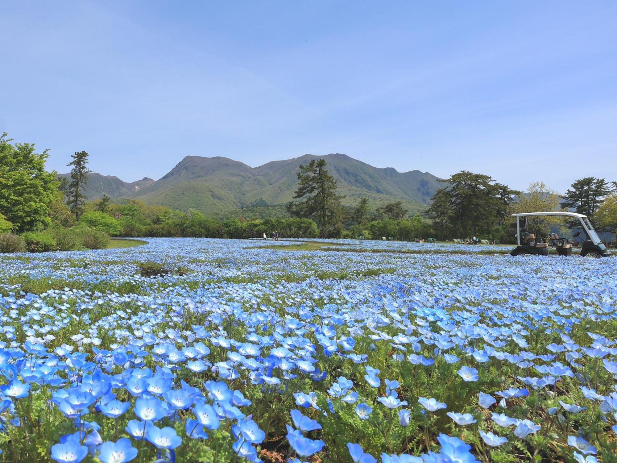 くじゅう花公園　キャンピングリゾート花と星 Kuju Extérieur photo