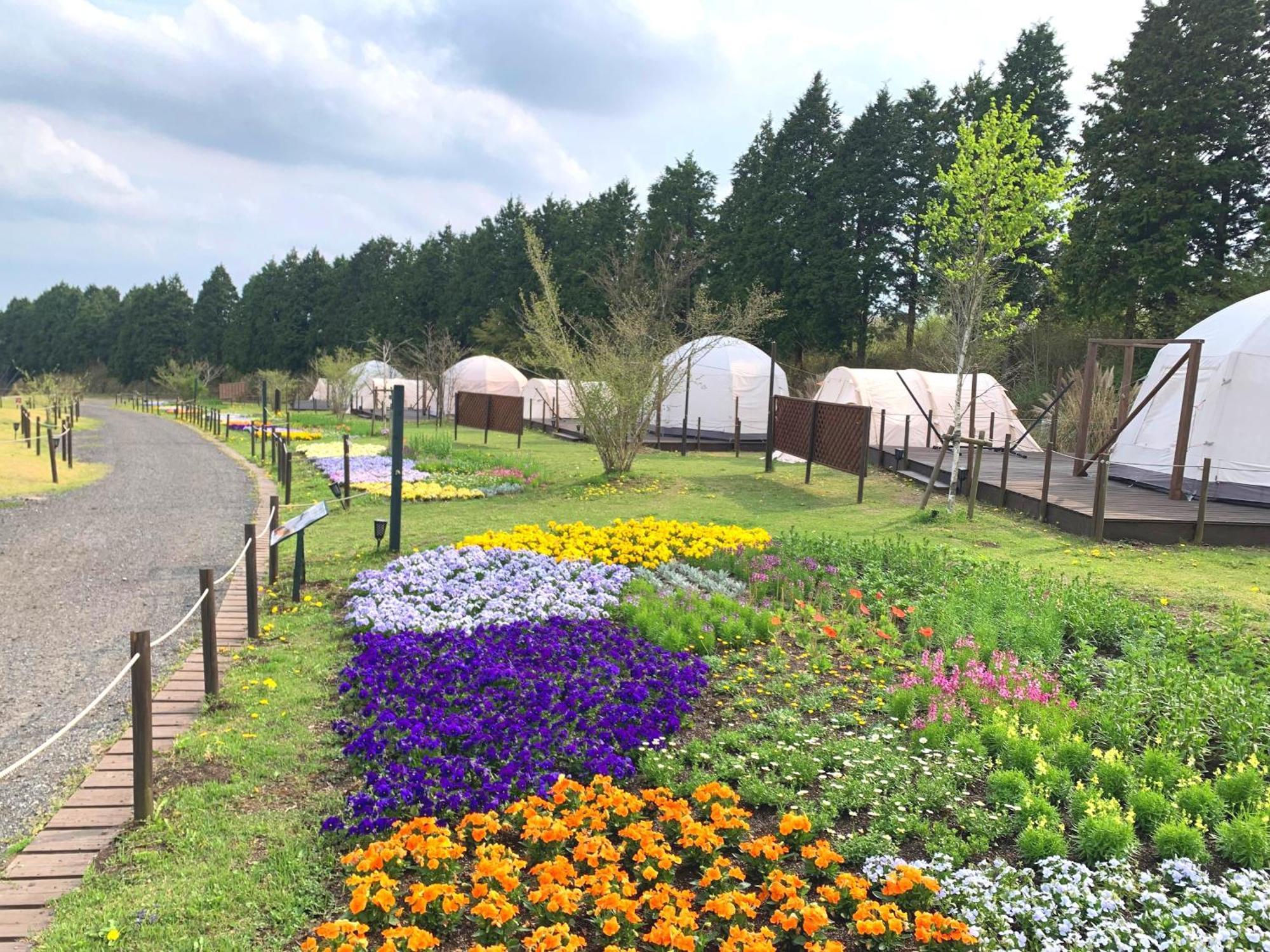 くじゅう花公園　キャンピングリゾート花と星 Kuju Extérieur photo