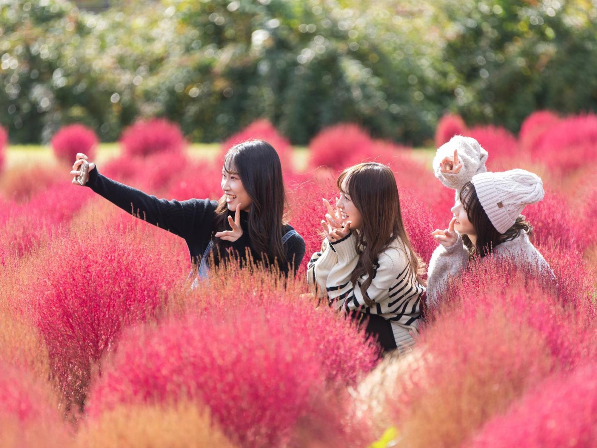 くじゅう花公園　キャンピングリゾート花と星 Kuju Extérieur photo