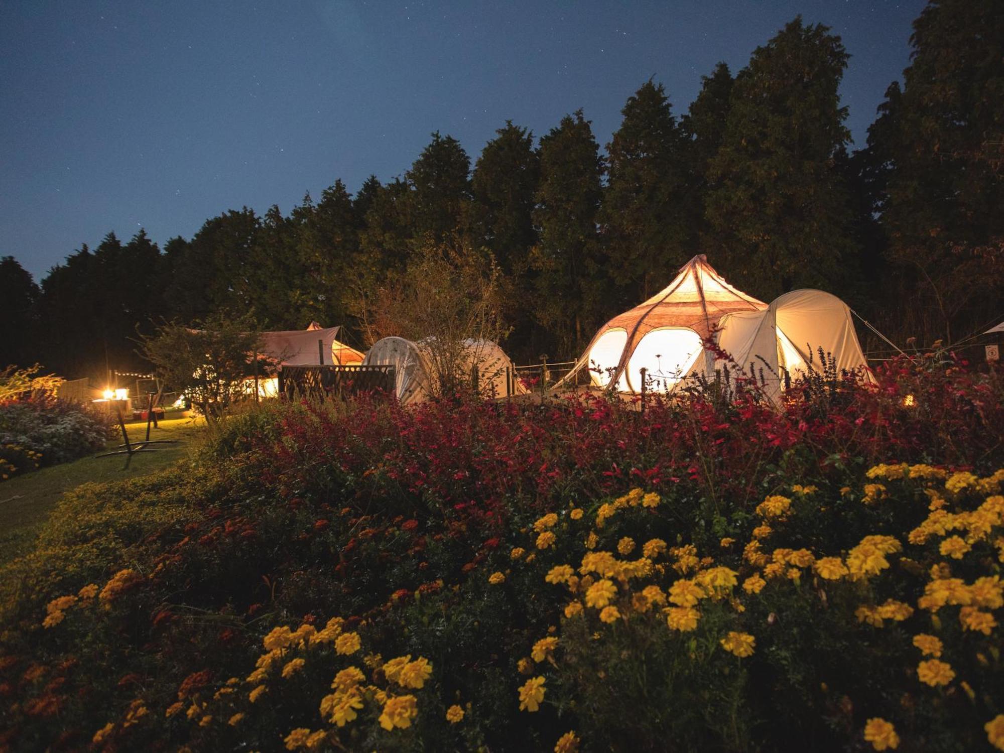 くじゅう花公園　キャンピングリゾート花と星 Kuju Extérieur photo