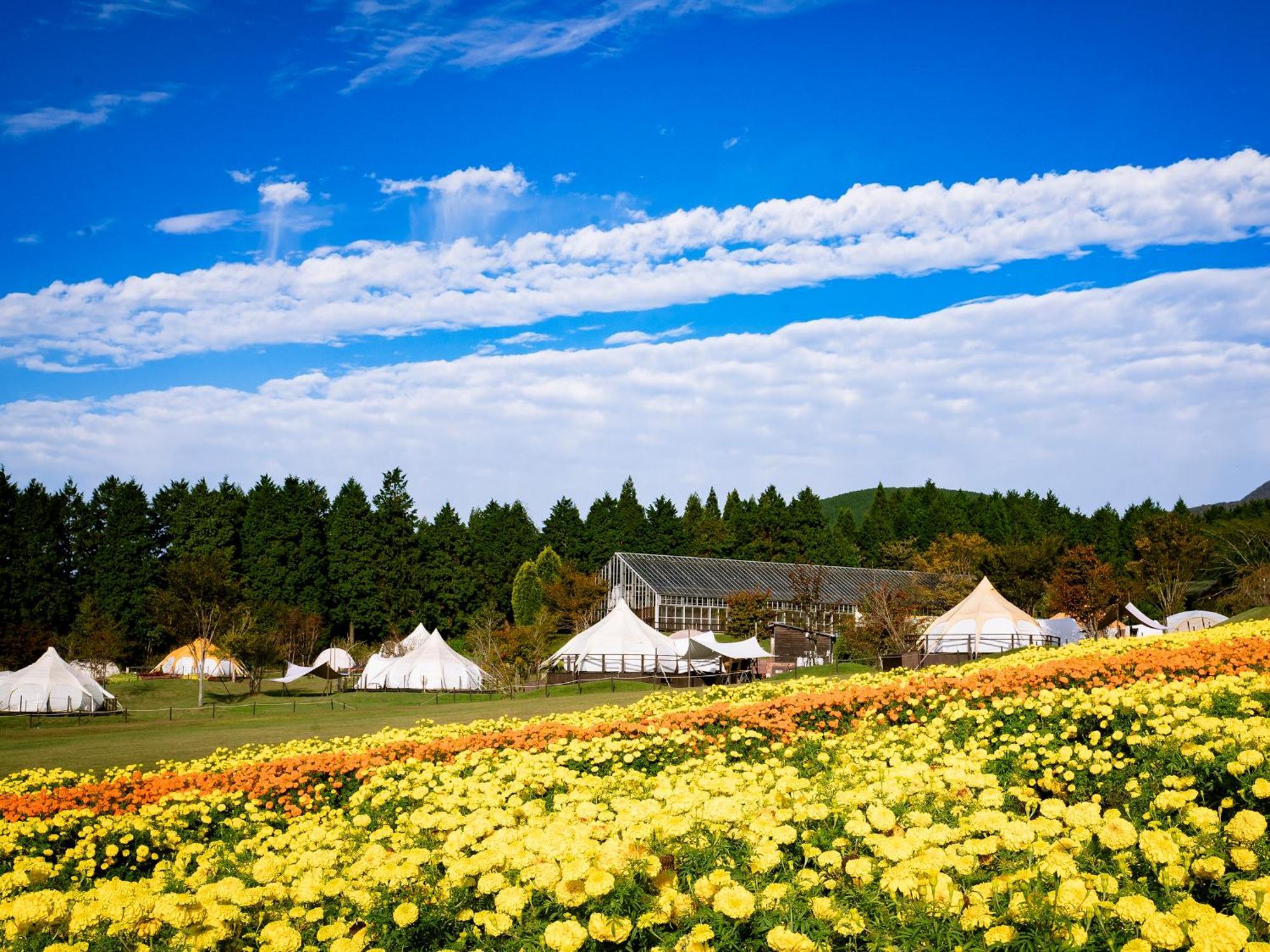 くじゅう花公園　キャンピングリゾート花と星 Kuju Extérieur photo