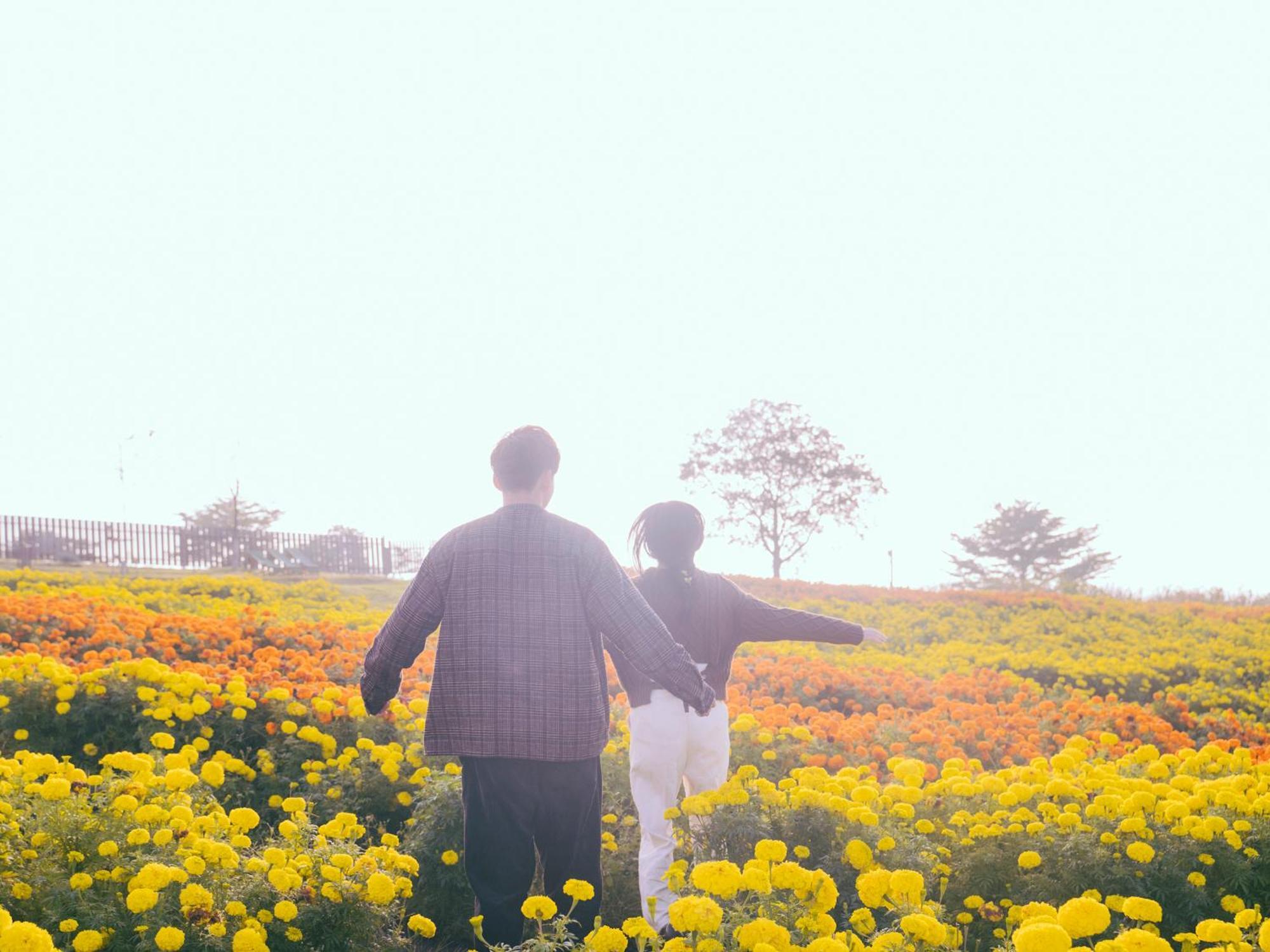くじゅう花公園　キャンピングリゾート花と星 Kuju Extérieur photo