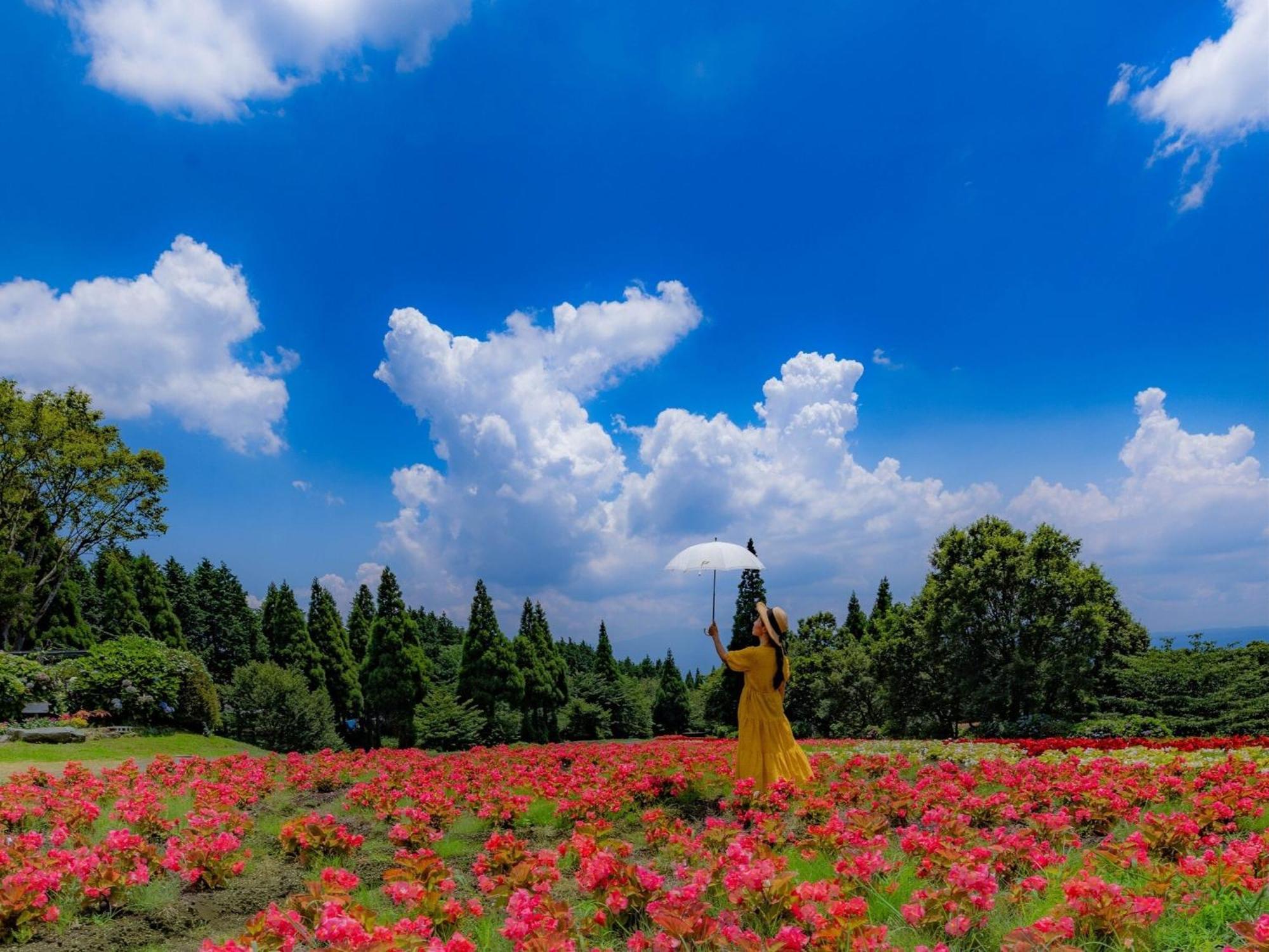 くじゅう花公園　キャンピングリゾート花と星 Kuju Extérieur photo